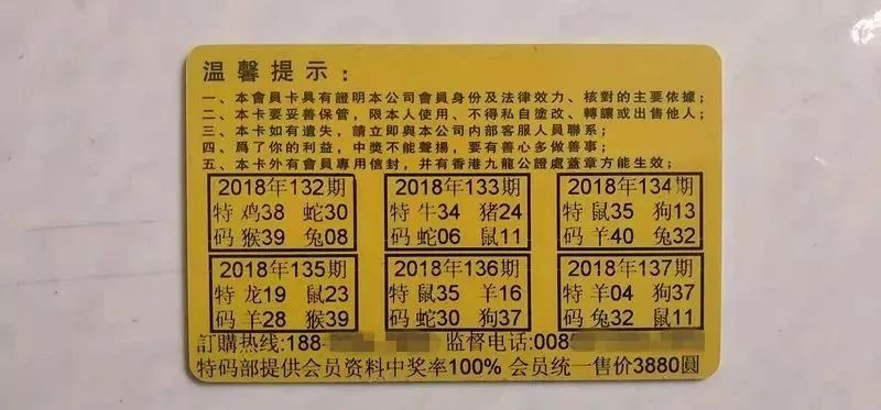 香港中特期期準(zhǔn)資料，深度解析與探索，香港中特期期準(zhǔn)資料深度解析與探索報(bào)告