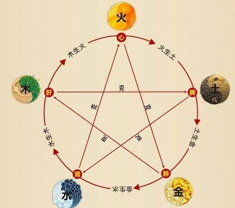 鐵算算盤4887最準資料，揭秘其背后的秘密與優(yōu)勢，揭秘鐵算算盤4887，最準資料背后的秘密與優(yōu)勢