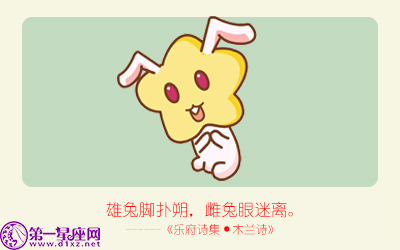 揭秘精準(zhǔn)生肖，探尋神奇的數(shù)字組合777778與888888背后的生肖秘密，揭秘生肖秘密，數(shù)字組合777778與888888背后的生肖傳奇