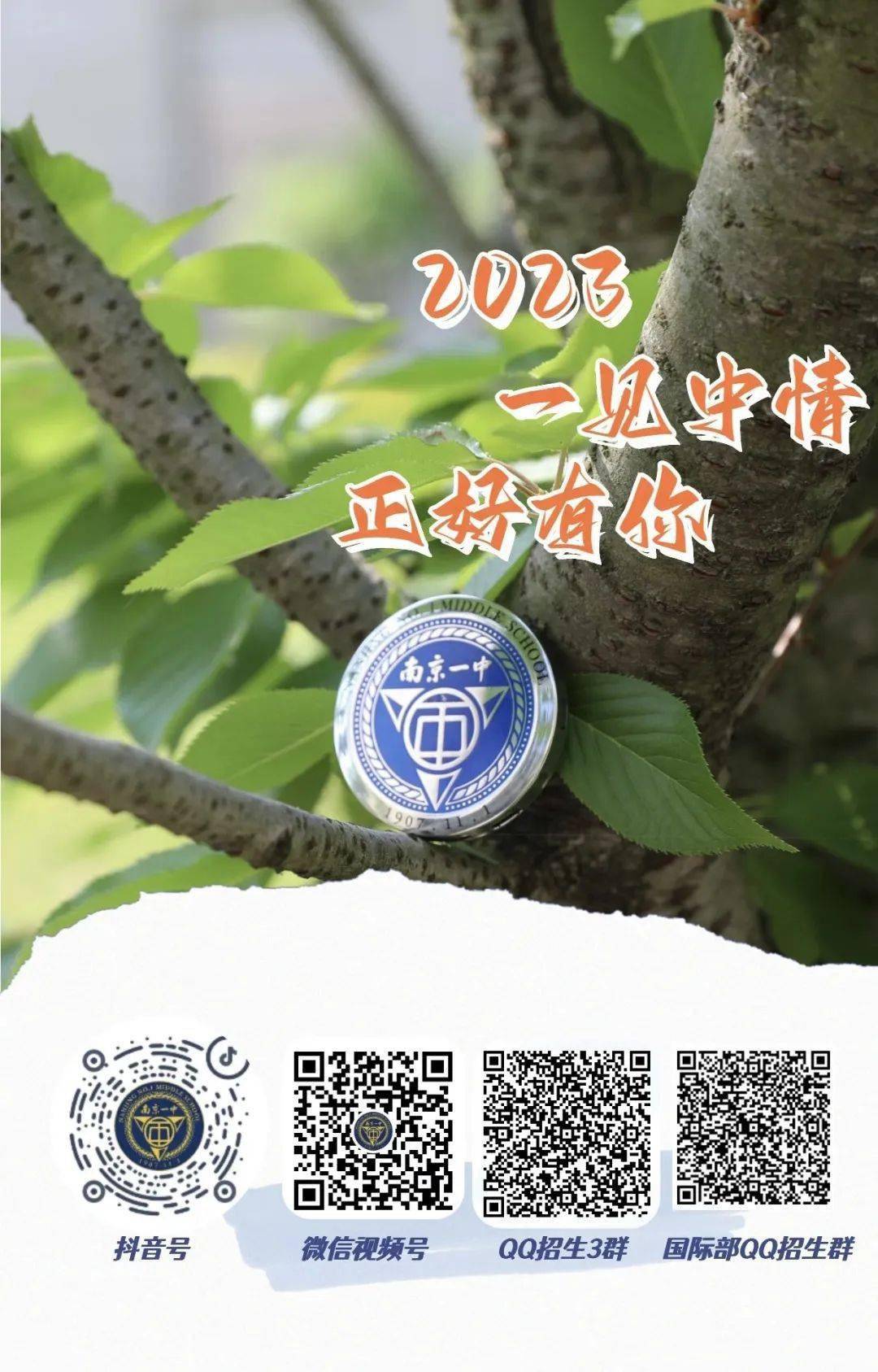 一碼一肖一特一中，揭秘背后的秘密與奧秘，揭秘一碼一肖一特一中背后的秘密奧秘