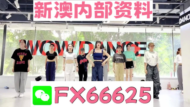 澳門免費資料大全，探索澳門的文化與歷史寶庫，探索澳門文化與歷史寶庫，澳門免費資料大全
