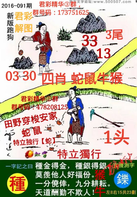 最新熱門游戲跑狗圖下載，7777788888新跑狗圖下載指南，最新熱門游戲跑狗圖下載指南，7777788888新跑狗圖下載全攻略