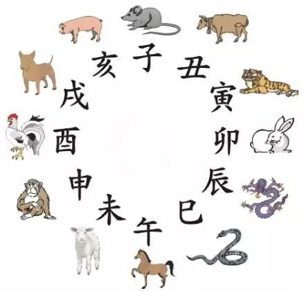 澳門天天彩期期精準(zhǔn)十二生肖預(yù)測(cè)——揭秘彩票秘密，澳門天天彩期期精準(zhǔn)十二生肖預(yù)測(cè)，揭秘彩票秘密之獨(dú)家解析