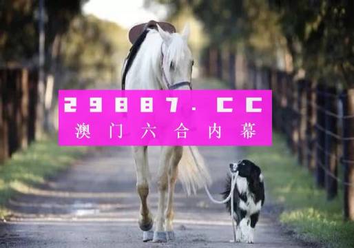 澳門彩的奧秘世界與SEO優(yōu)化策略探討 —— www.04812com的獨(dú)家解析，澳門彩奧秘與SEO優(yōu)化策略獨(dú)家解析，www.04812com深度探討