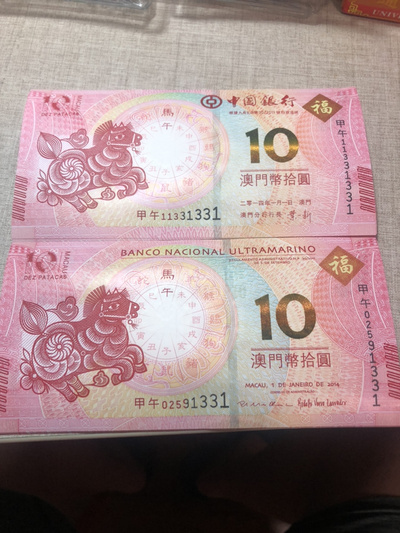 揭秘明天澳門必中生肖的神秘面紗，揭秘明天澳門必中生肖的神秘秘密
