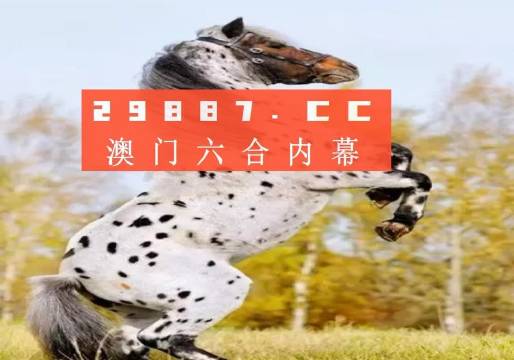 白小姐的精準(zhǔn)免費(fèi)四肖，揭秘背后的秘密，揭秘白小姐精準(zhǔn)免費(fèi)四肖背后的秘密
