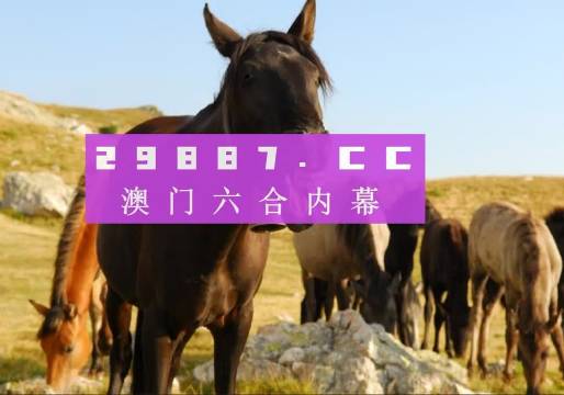 澳門管家婆一肖中特與香港阿飛免費印刷圖庫的獨特魅力 —— 2024澳門天天開好彩大全探索，澳門管家婆與香港阿飛圖庫魅力探索，2024澳門天天彩好彩大全揭秘