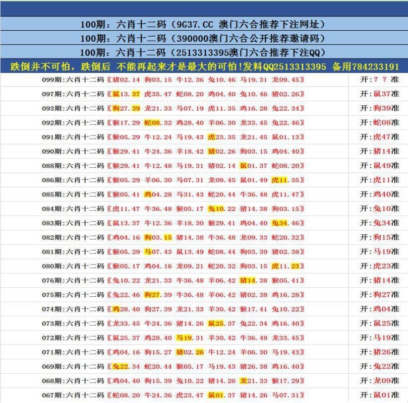 澳門無錯九肖今日搜狗，探索與解析，澳門無錯九肖今日搜狗，深度解析與探索