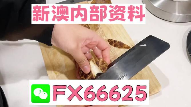 澳門九點(diǎn)半9點(diǎn)半網(wǎng)站——探索其魅力與優(yōu)勢(shì)，澳門九點(diǎn)半網(wǎng)站，魅力與優(yōu)勢(shì)探索
