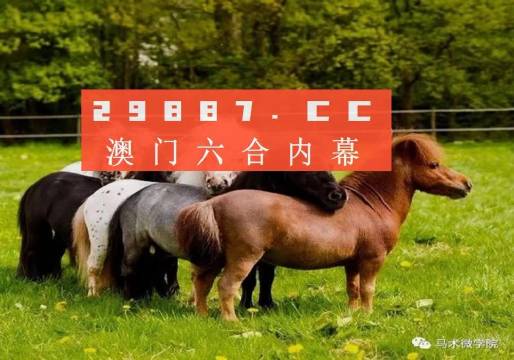 一馬中特內(nèi)部精準(zhǔn)資料免費(fèi)大公開，揭秘行業(yè)秘密，助力個(gè)人成長，揭秘行業(yè)秘密，一馬中特內(nèi)部精準(zhǔn)資料大公開，助力個(gè)人成長免費(fèi)獲取