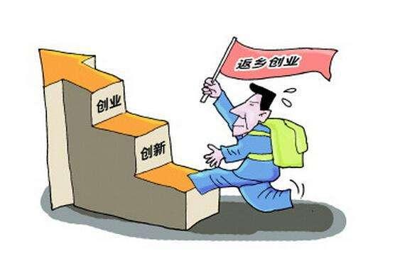 鳳凰網下的管家婆，7777788888背后的故事，鳳凰網管家婆背后的故事，揭秘數字7777788888的神秘面紗