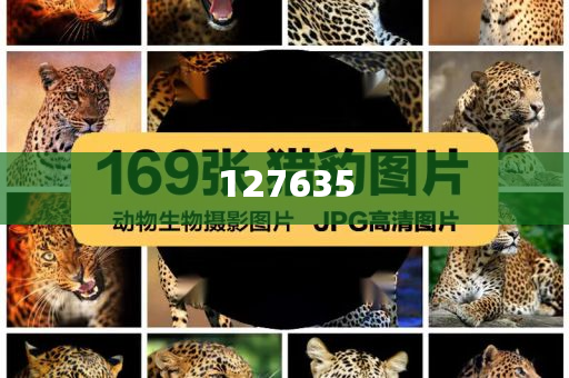 精準(zhǔn)新傳真，揭秘?cái)?shù)字組合7777788888的神秘面紗，揭秘?cái)?shù)字組合7777788888的神秘面紗，精準(zhǔn)新傳真解讀