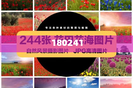 揭秘精準管家婆狗，77777與88888的神秘面紗，揭秘精準管家婆狗，神秘數(shù)字77777與88888背后的秘密