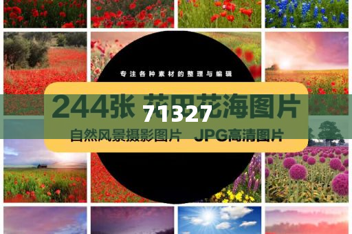 探索777788888管家婆網(wǎng)，一站式解決方案的綜合服務(wù)平臺，一站式解決方案的綜合服務(wù)平臺，探索777788888管家婆網(wǎng)