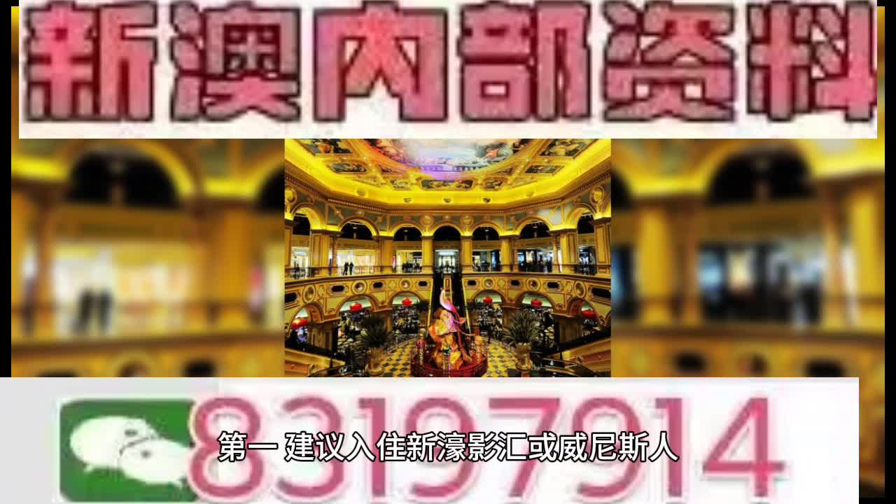 新澳門特馬王，探索與解析，新澳門特馬王，深度探索與解析