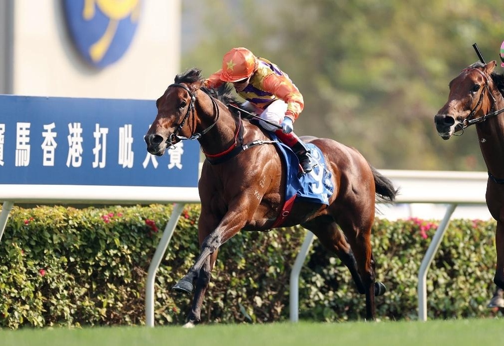 香港賽馬會，探索賽馬運動的魅力與激情的交匯點——7777788888的獨特魅力，香港賽馬會，賽馬運動的激情交匯點與獨特魅力探索