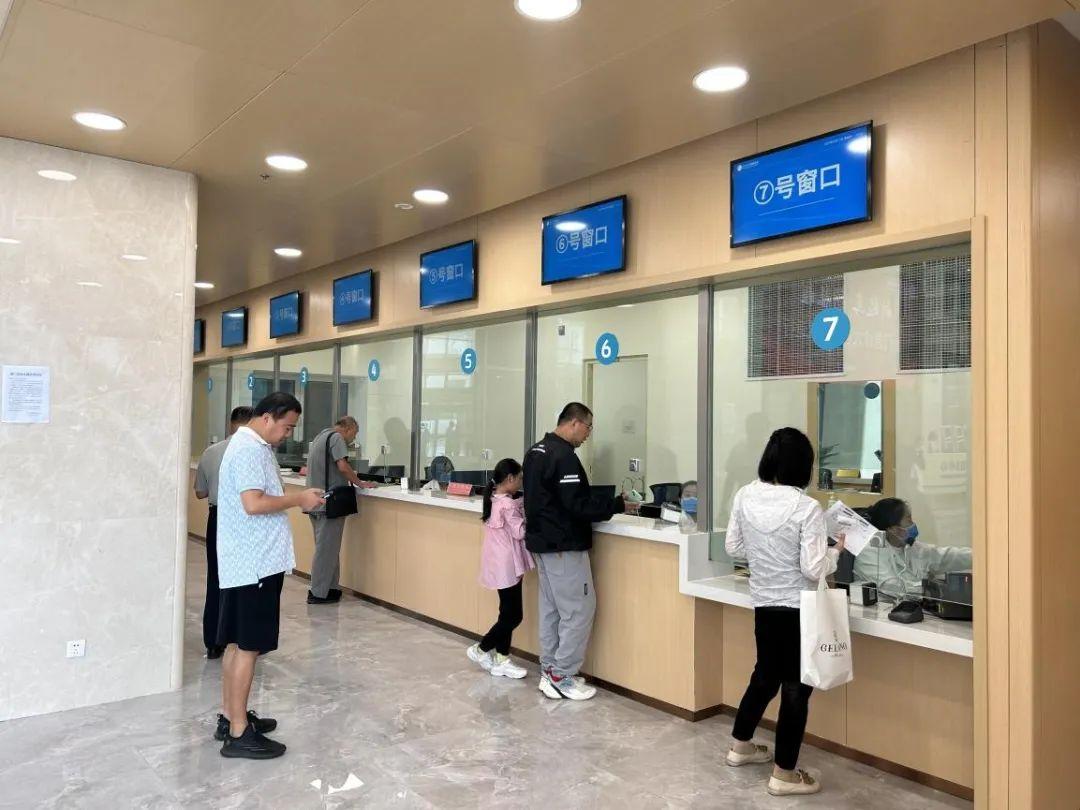 新門內(nèi)部資料免費(fèi)下載——探索與揭秘，新門內(nèi)部資料揭秘，免費(fèi)下載與探索之旅