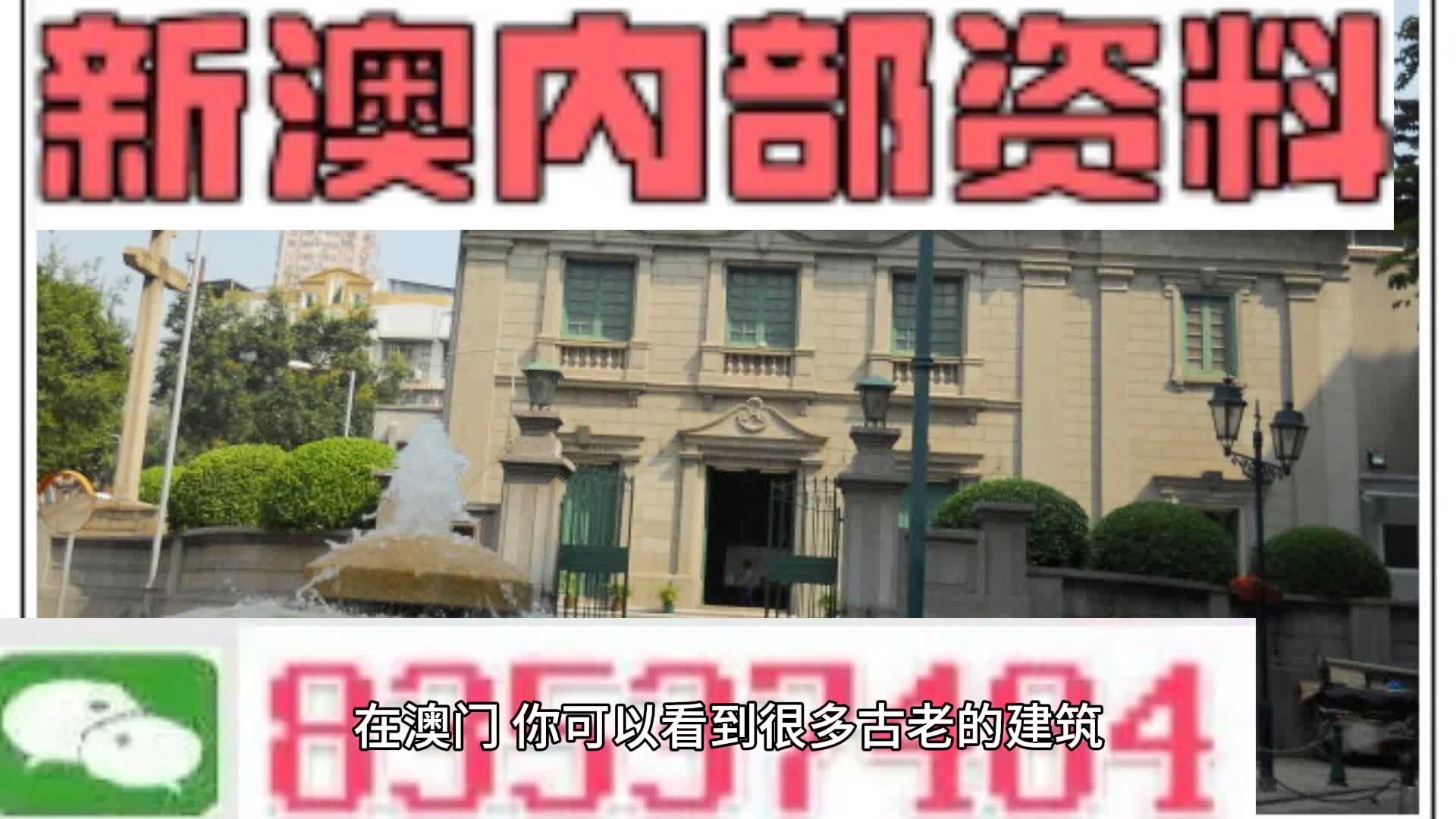 新門內(nèi)部資料大全更新，掌握最新資源，引領(lǐng)行業(yè)前沿，新門內(nèi)部資料更新引領(lǐng)行業(yè)前沿掌握最新資源大全