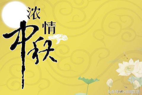 天天開(kāi)好彩免費(fèi)資料大全——你不可錯(cuò)過(guò)的幸運(yùn)之門(mén)，天天開(kāi)好彩免費(fèi)資料大全——開(kāi)啟幸運(yùn)之門(mén)的必備指南