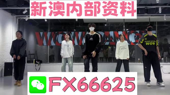 探索未來，2025新澳最新版精準(zhǔn)特色解析，探索未來，揭秘新澳最新版精準(zhǔn)特色解析（2025版）