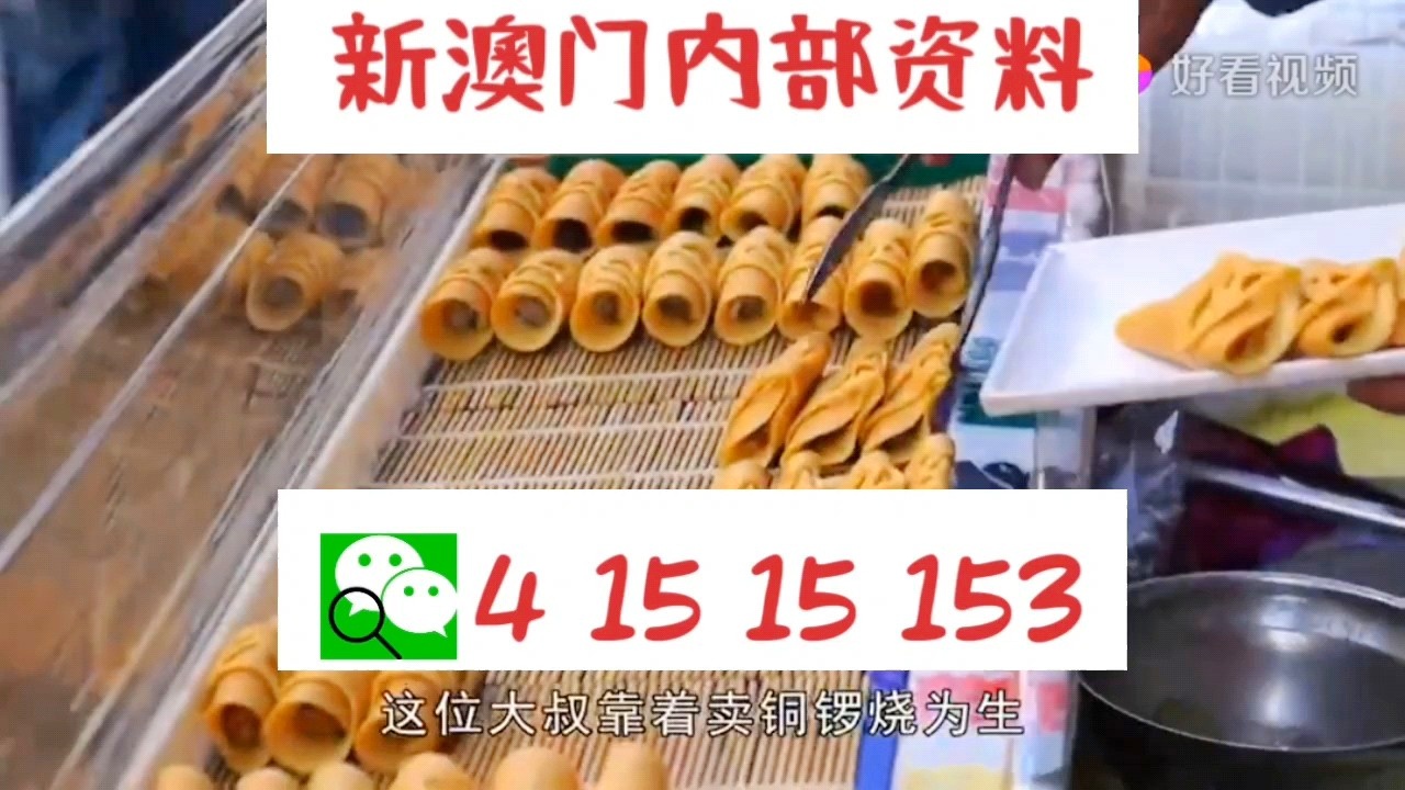 澳門天天好彩66，展望未來(lái)的美好愿景與探索（2025年），澳門天天好彩66，展望未來(lái)美好愿景與探索（2025展望）