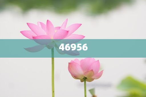 新奧集團(tuán)，邁向2025，天天開(kāi)好彩的愿景與挑戰(zhàn)，新奧集團(tuán)邁向2025，實(shí)現(xiàn)天天開(kāi)好彩的愿景與挑戰(zhàn)