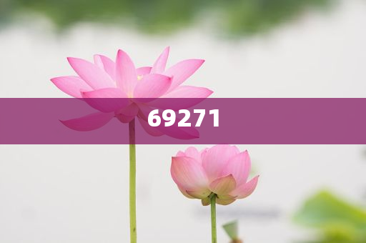新澳今晚9點(diǎn)30分的精彩瞬間與背后故事揭秘，新澳之夜，精彩瞬間與幕后揭秘 9點(diǎn)30分的震撼時(shí)刻