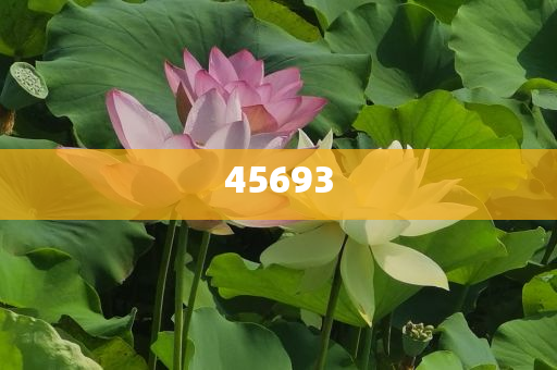 全新升級，7777888888精準(zhǔn)新管家，全新升級管家，精準(zhǔn)管理，一站式服務(wù) 7777888888新管家重磅來襲