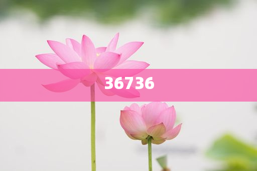 7777788888精準(zhǔn)新傳免費(fèi)
