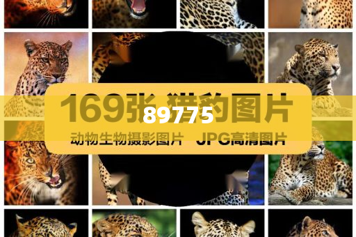 關(guān)于新奧歷史開(kāi)獎(jiǎng)記錄的最新信息，今天公布了嗎？，新奧歷史開(kāi)獎(jiǎng)記錄最新信息公布了嗎？