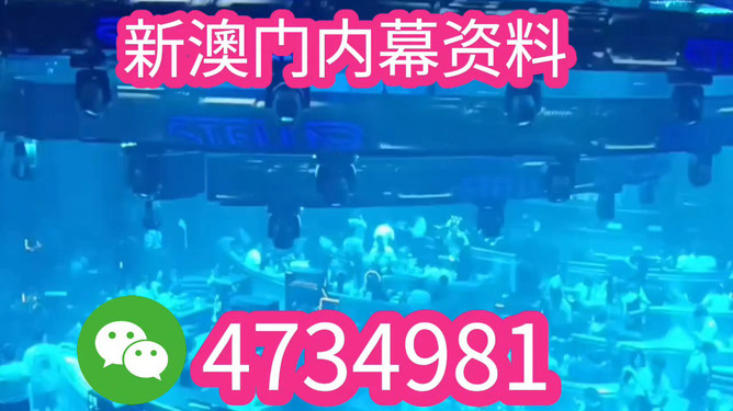 新澳門2025，探索與未來的展望，新澳門2025，探索未來，展望發(fā)展