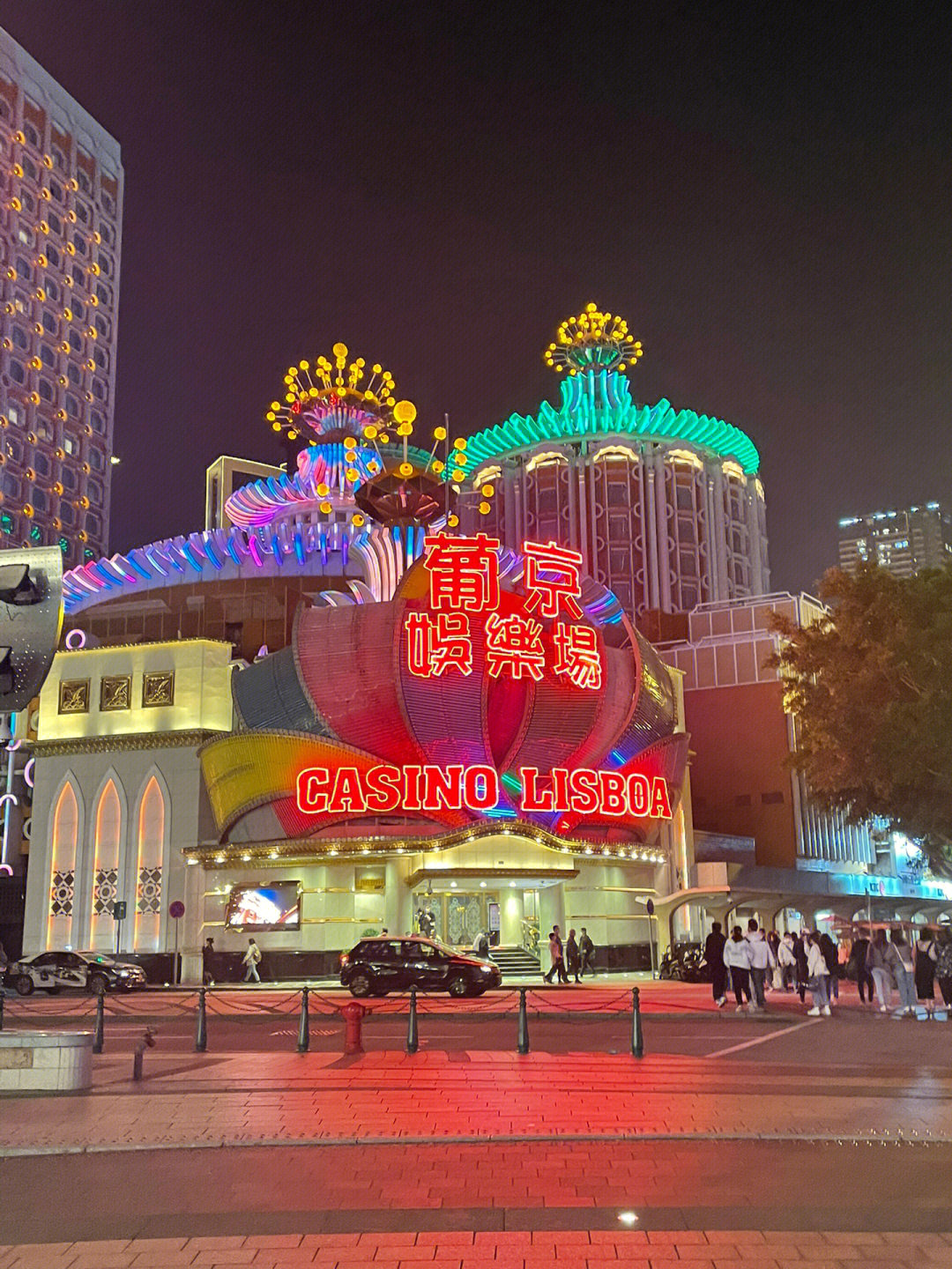 澳門今晚必開一肖一特芳草地，探索生肖與運(yùn)勢(shì)的神秘面紗，澳門生肖運(yùn)勢(shì)揭秘，探索今晚必開一肖一特芳草地神秘面紗的運(yùn)勢(shì)之旅