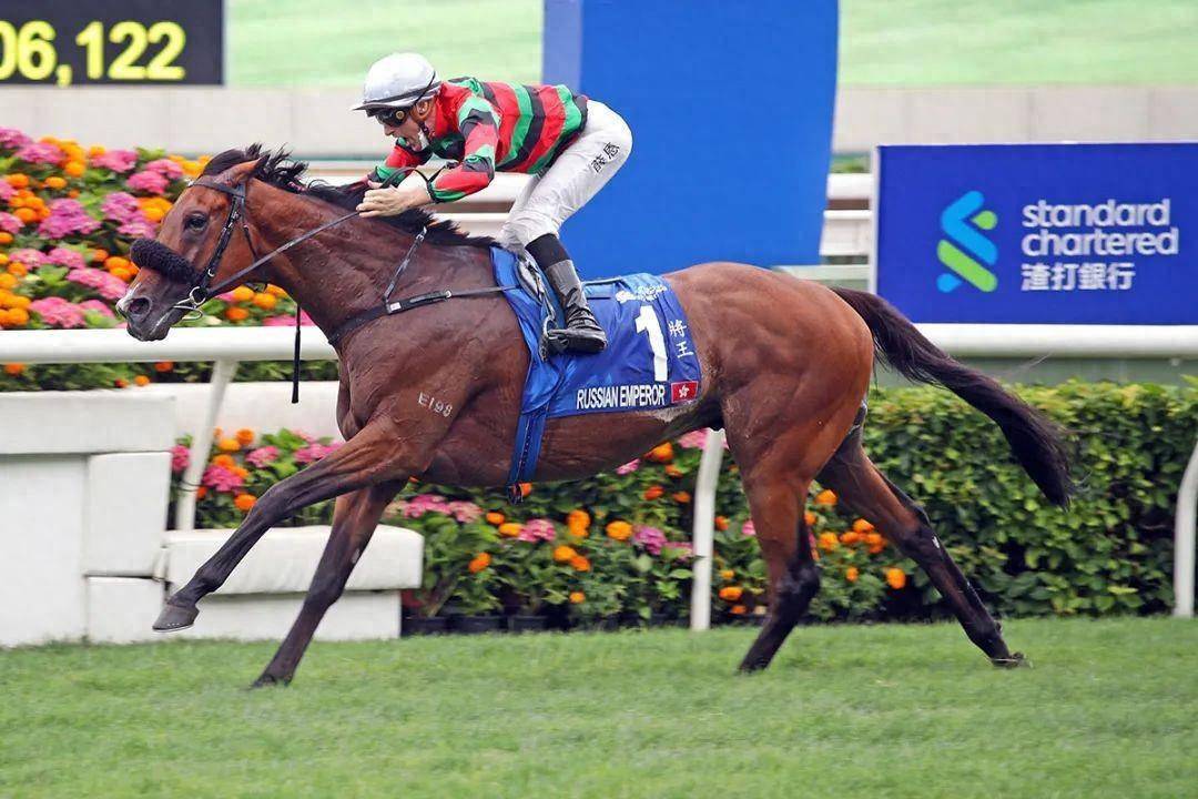香港馬賽事，探索數字背后的激情與榮耀 7777788888，香港馬賽事，數字背后的激情與榮耀
