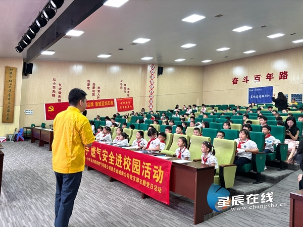 新奧49正版資料，探索與解析，新奧49正版資料深度探索與解析