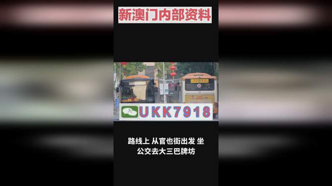 揭秘澳門今晚開獎(jiǎng)號碼，預(yù)測與策略走向，澳門今晚開獎(jiǎng)號碼揭秘與預(yù)測策略走向探討
