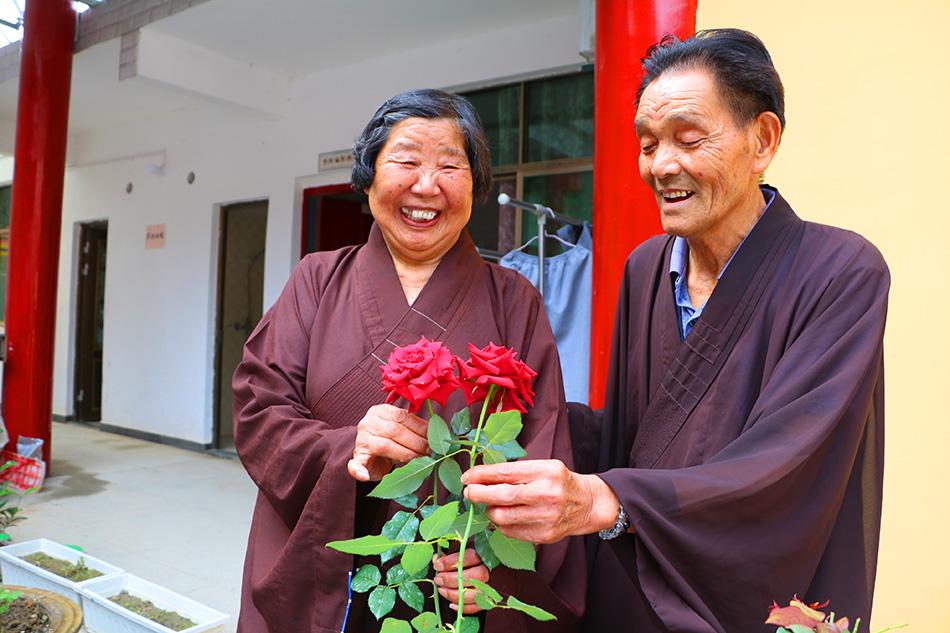 揭秘最準一碼一肖，揭秘背后的秘密與真相，鳳凰網獨家報道，獨家揭秘，最準一碼一肖背后的秘密真相（鳳凰網報道）