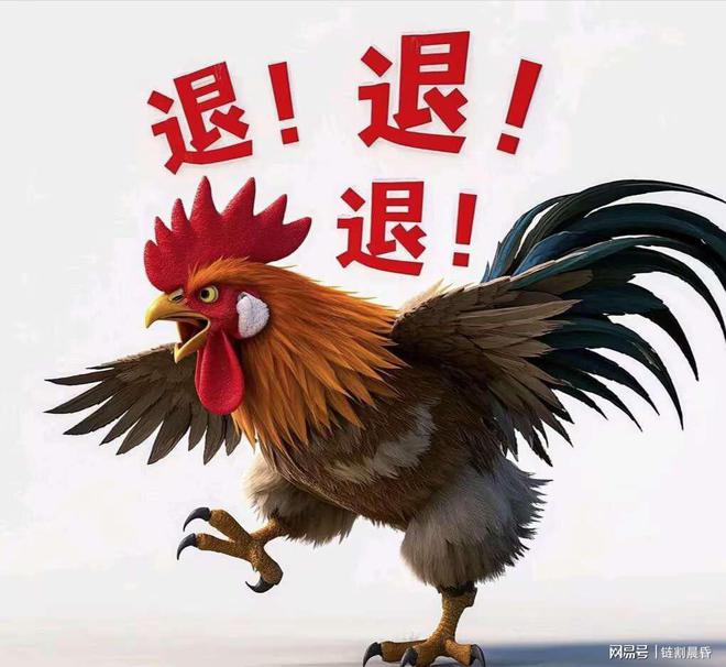 2023年澳門今晚最新消息概覽，澳門最新消息概覽，2023年今晚動(dòng)態(tài)速遞