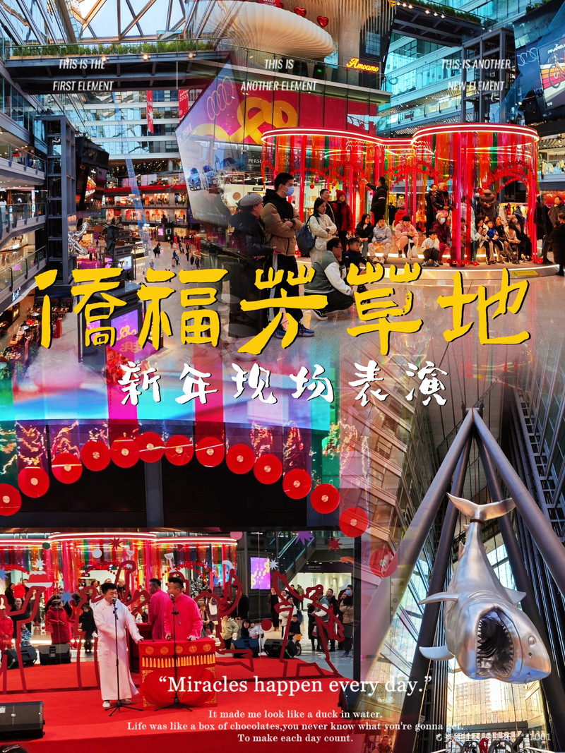 最新揭秘，2024新澳芳草地全方位資料詳解，揭秘2024新澳芳草地全方位資料，最新詳解