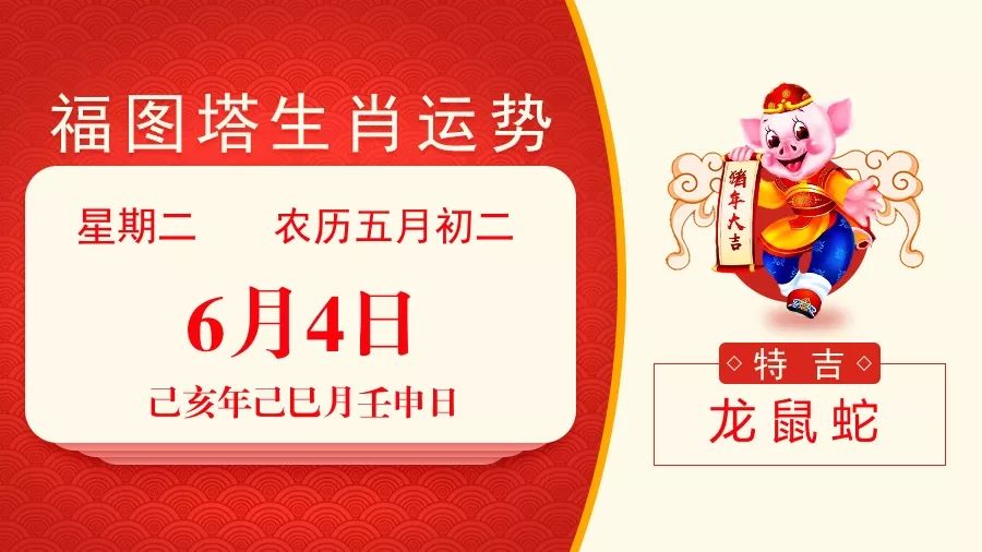 新澳特碼，羊?；⒏鲾?shù)10的獨(dú)特魅力與解析，新澳特碼，羊?；⒏鲾?shù)10的獨(dú)特魅力深度解析