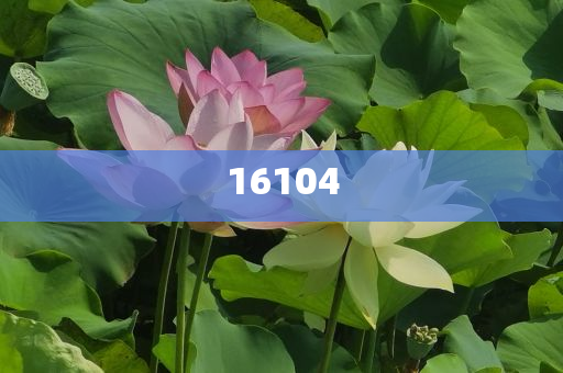 新奧600圖庫2025，探索與前瞻，新奧600圖庫2025，深度探索與未來展望
