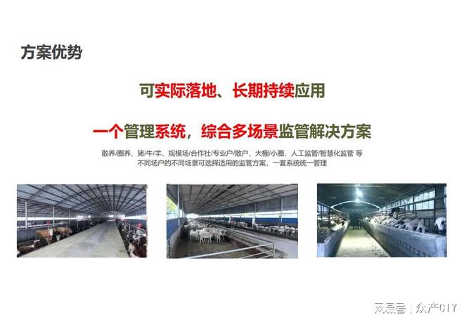 探索新澳芳草地，正版資料的免押之旅（2025年最新資訊），探索新澳芳草地，正版資料免押之旅（最新資訊）