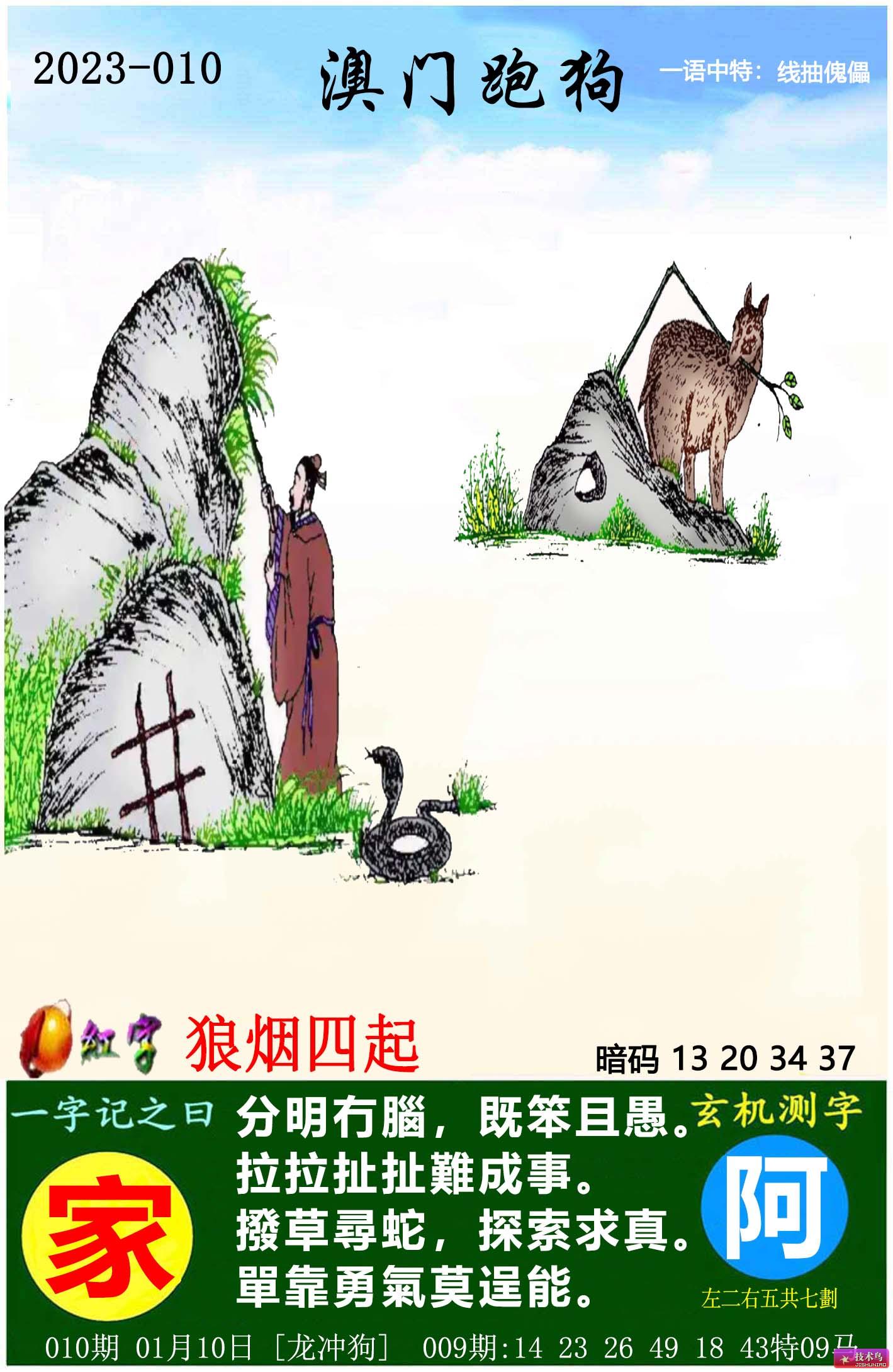 最新更新內(nèi)容，探索7777788888跑狗圖的奧秘，揭秘跑狗圖奧秘，最新更新探索7777788888的神秘面紗