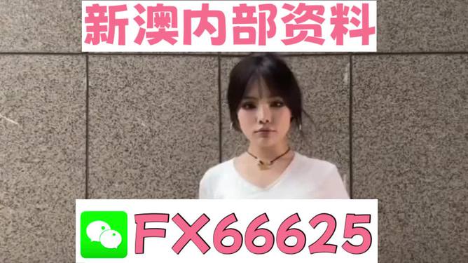 澳門資料大全正版資料查詢，探索澳門的文化與歷史深度之旅，澳門文化與歷史深度探索，正版資料大全及查詢指南