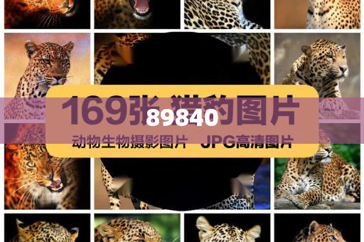 揭秘新奧集團(tuán)，展望未來的最新資料，探尋五不中的奧秘，新奧集團(tuán)未來展望，探尋五不中的奧秘與揭秘最新發(fā)展資料