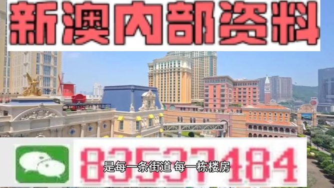 新澳門最精準(zhǔn)正最精準(zhǔn)龍門——探索澳門的魅力與機(jī)遇，澳門魅力與機(jī)遇探索，新澳門最精準(zhǔn)龍門
