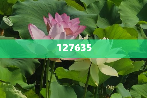揭秘7777788888精準新傳真，一網(wǎng)打盡所有細節(jié)，揭秘精準新傳真7777788888，一網(wǎng)打盡所有細節(jié)揭秘與解析
