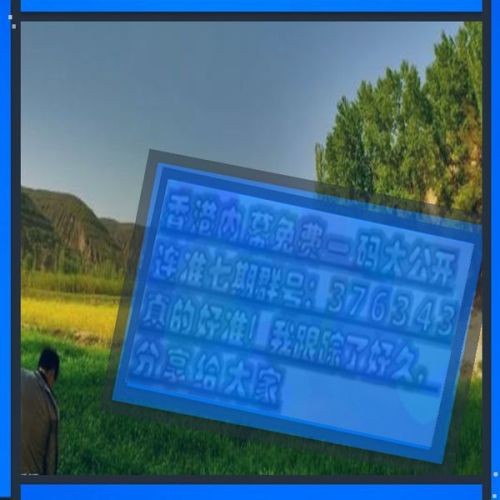澳門三肖三碼必開一期