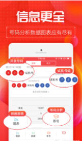 王中王一肖碼，探索數(shù)字世界的奧秘，王中王一肖碼，數(shù)字世界奧秘的探索