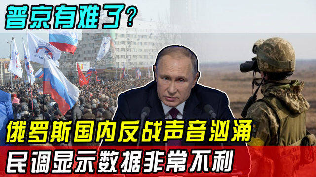 俄羅斯國內(nèi)反戰(zhàn)最新消息，動態(tài)與影響分析，俄羅斯國內(nèi)反戰(zhàn)最新動態(tài)、影響分析與消息綜述