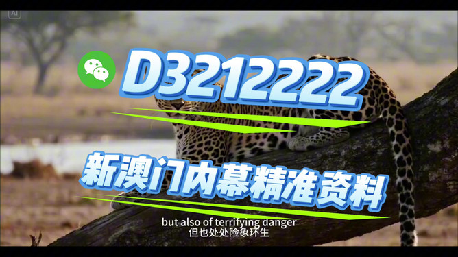 揭秘未來，探索2025開特馬最準確一肖預測之道，揭秘未來，探索精準預測2025開特馬生肖之道